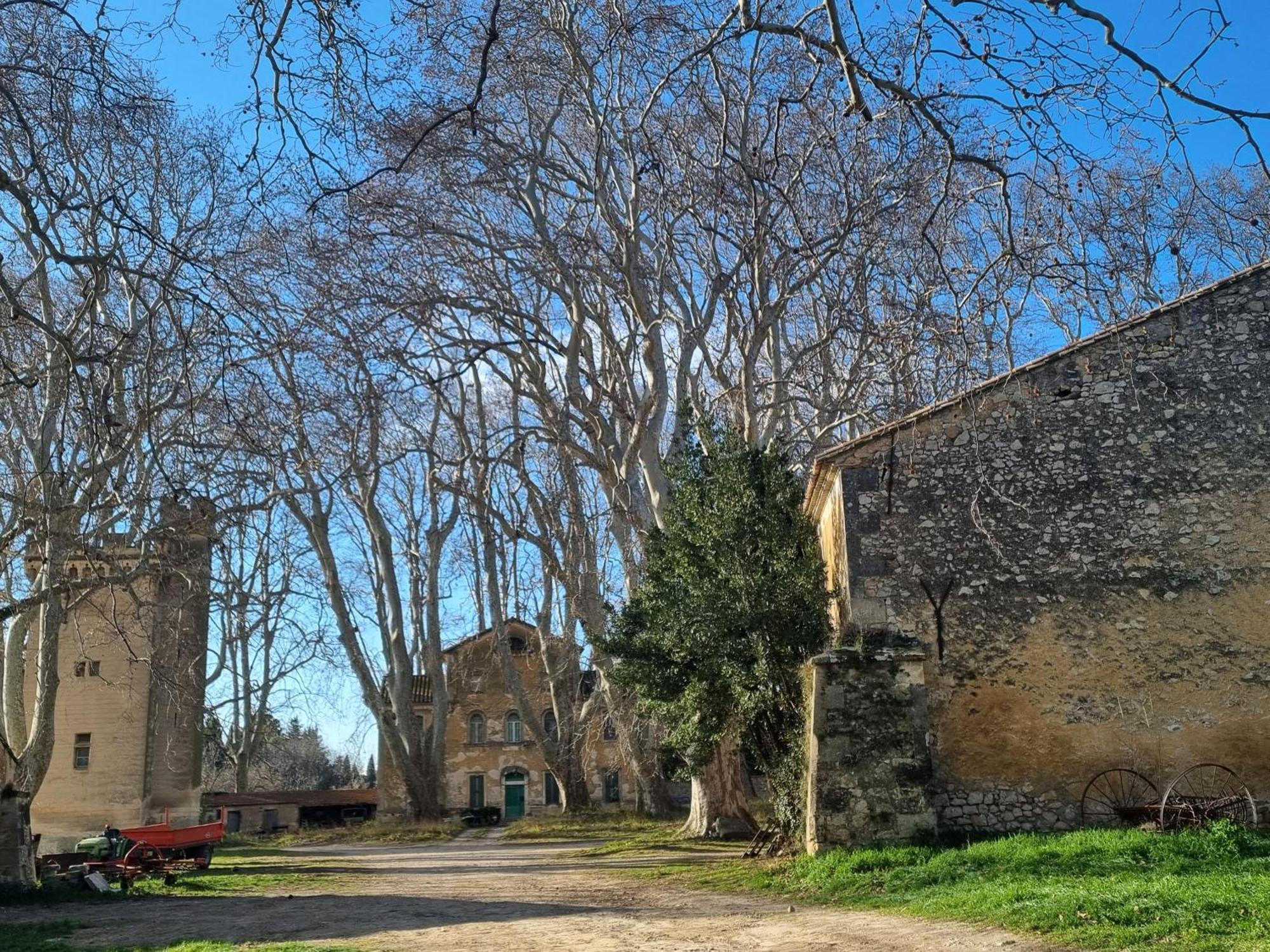 Les Garrigues De La Vallee Des Baux ปาราดู ภายนอก รูปภาพ
