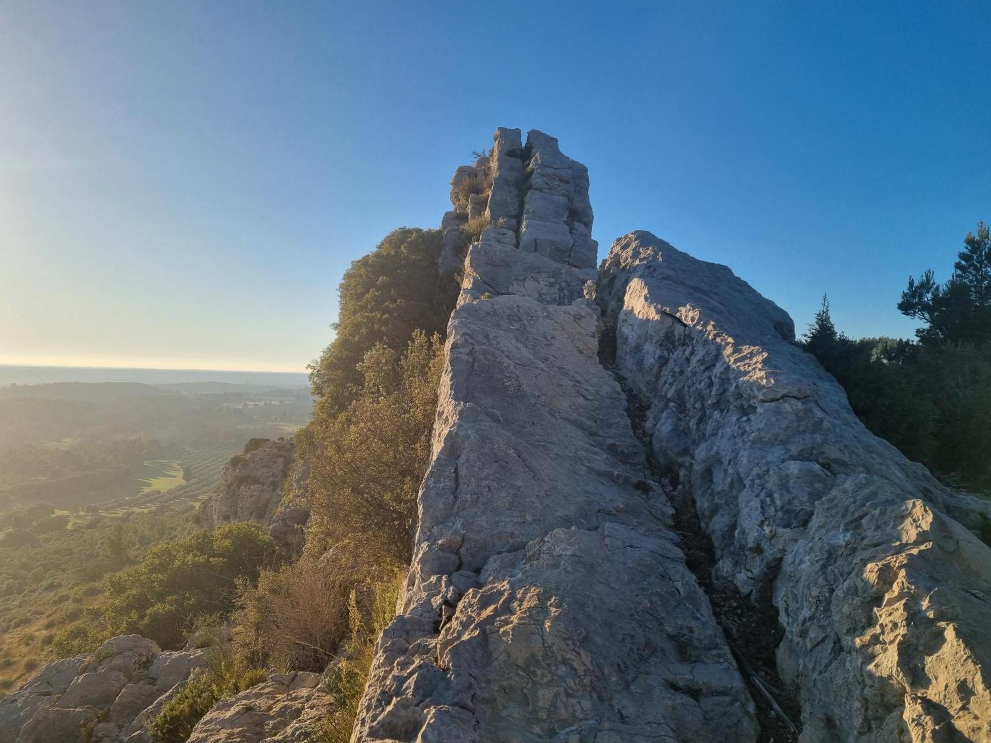 Les Garrigues De La Vallee Des Baux ปาราดู ภายนอก รูปภาพ