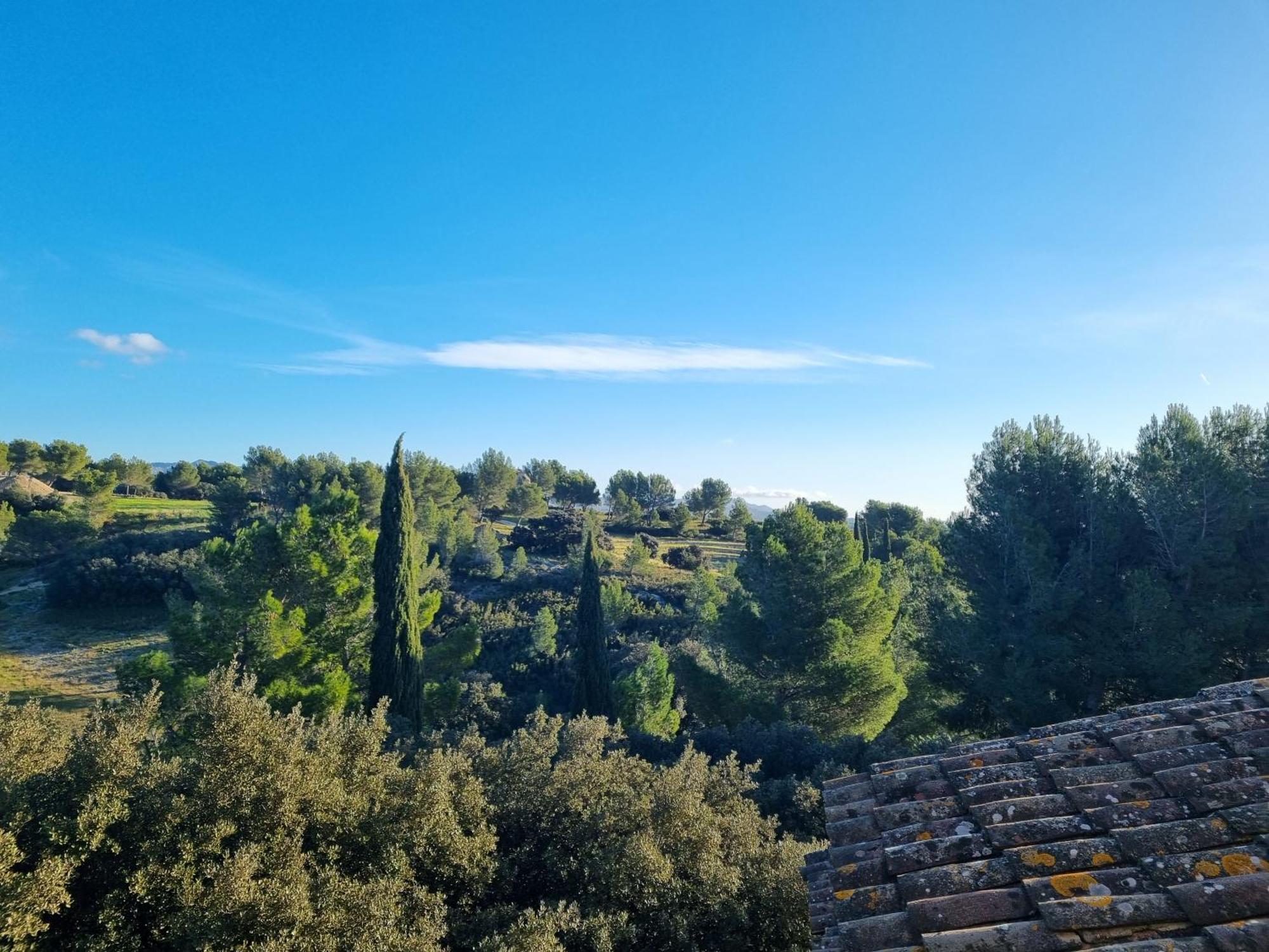 Les Garrigues De La Vallee Des Baux ปาราดู ภายนอก รูปภาพ