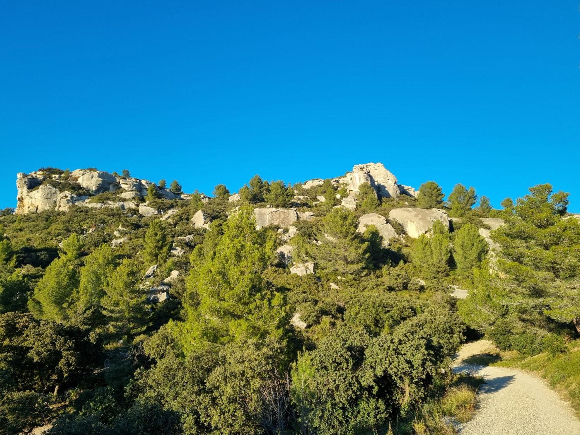 Les Garrigues De La Vallee Des Baux ปาราดู ภายนอก รูปภาพ